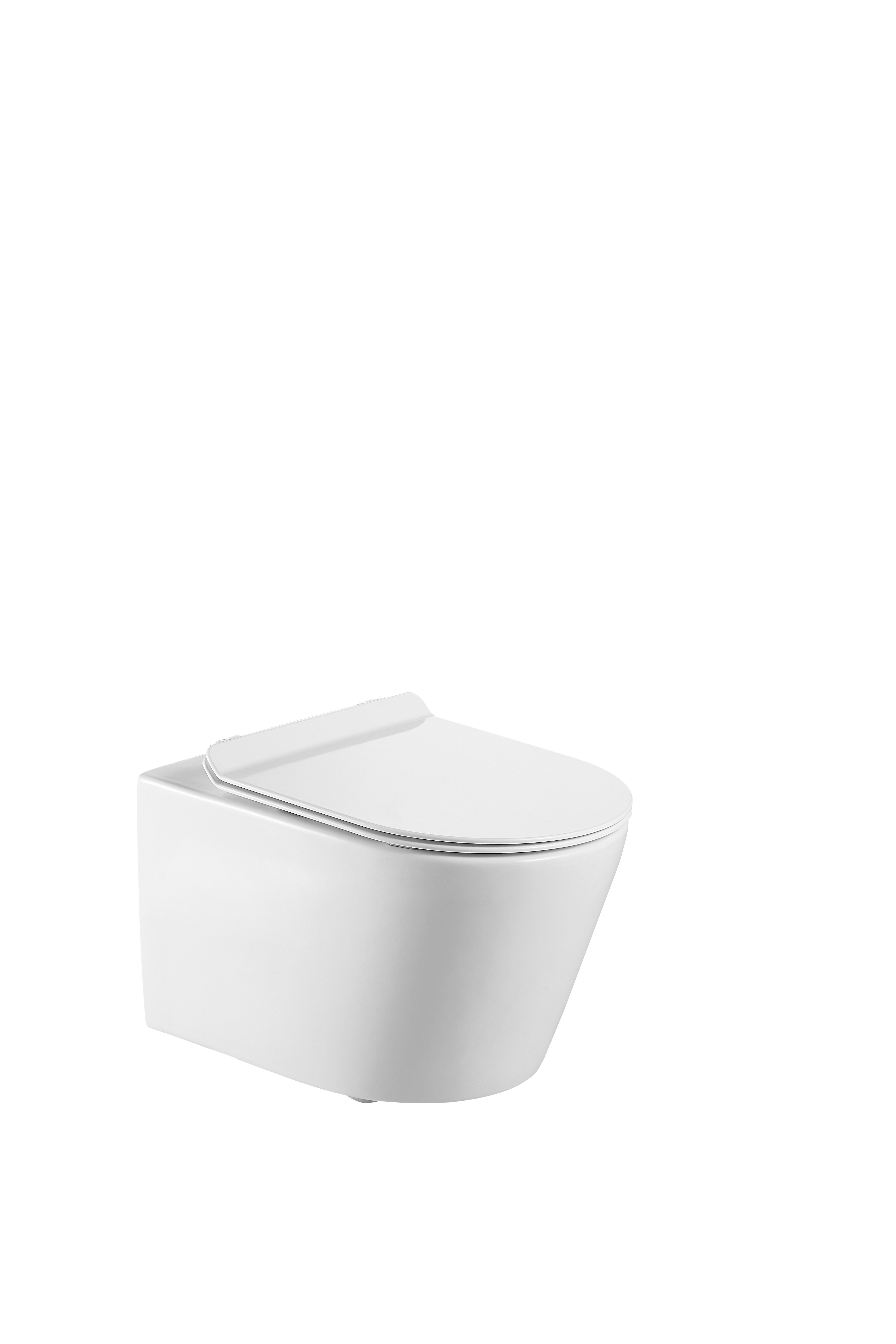 ELEGANCE WALL HUNG PAN  & SOFT CLOSE SEAT
