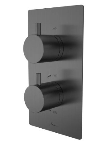 QUANTUM DUAL FUNCTION SHOWER VALVE GUNMETAL